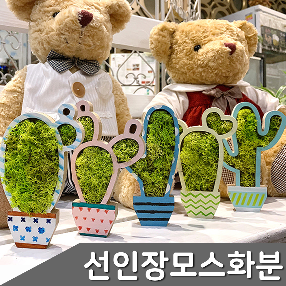 선인장 모스화분 만들기 5인 1세트